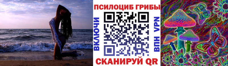 площадка наркотические препараты  Болхов  Псилоцибиновые грибы Psilocybe  купить наркотики цена 