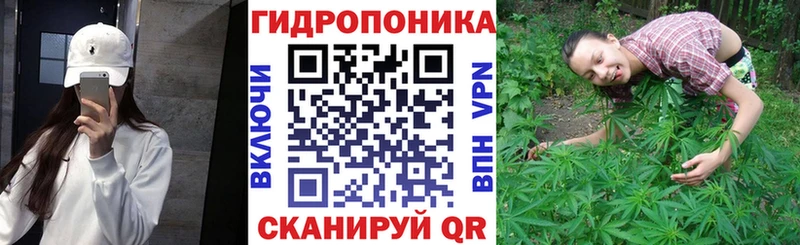 Бошки Шишки ГИДРОПОН  дарнет шоп  Болхов 